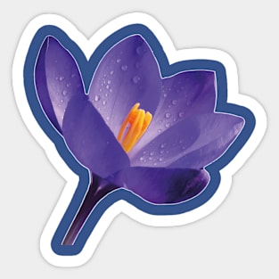 Purple Flower Sticker